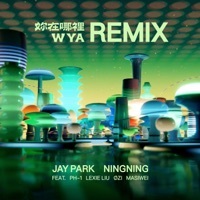 Thumbnail for the Jay Park - WYA Remix link, provided by host site