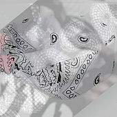 Thumbnail for the Nasa - Wyo link, provided by host site