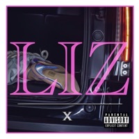Thumbnail for the LIZ - X link, provided by host site