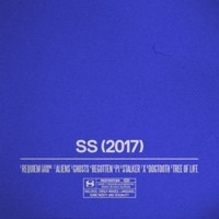 Image of Sega Bodega linking to their artist page due to link from them being at the top of the main table on this page