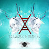 Thumbnail for the Dj L.a.m.c - X link, provided by host site