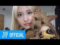 Thumbnail for the Twice - X Harper's BAZAAR link, provided by host site