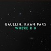 Thumbnail for the Gaullin - X Kaan Pars - Where R U link, provided by host site