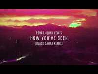 Thumbnail for the R3hab - X Quinn Lewis - How You've Been (Black Caviar Remix) link, provided by host site