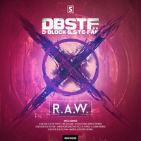 Thumbnail for the D-Block & S-Te-Fan - X R.A.W link, provided by host site