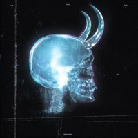 Thumbnail for the VIL - X-Ray link, provided by host site