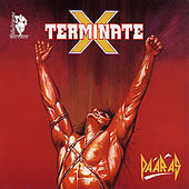 Thumbnail for the Paaras - X-Terminate link, provided by host site