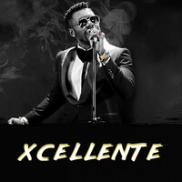 Thumbnail for the Xcellente - Xcellente link, provided by host site