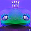 Thumbnail for the Iris Dee Jay - Xray Eyes link, provided by host site