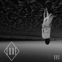 Thumbnail for the LUXE - XVII link, provided by host site