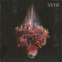 Thumbnail for the Jordan Mitchell - XXVII link, provided by host site