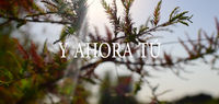Thumbnail for the Dante - Y Ahora Tú link, provided by host site