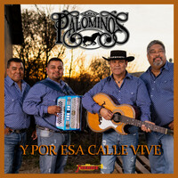 Thumbnail for the Los Palominos - Y Por Esa Calle Vive link, provided by host site