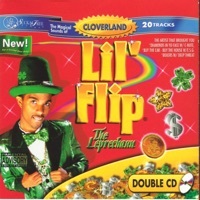 Thumbnail for the Lil' Flip - Ya'Ll link, provided by host site
