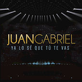 Thumbnail for the Juan Gabriel - Ya Lo Sé Que Tú Te Vas link, provided by host site