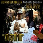 Thumbnail for the Dungeon Masta - Ya Stupid link, provided by host site