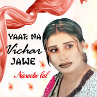 Thumbnail for the Naseebo Lal - Yaar Na Vichar Jawe link, provided by host site