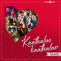 Thumbnail for the Nivas K Prasanna - Yaazhini - From "Titanic" link, provided by host site