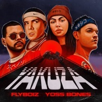 Thumbnail for the Flyboiz - Yakuza link, provided by host site