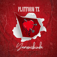Thumbnail for the Platform - Yamenishinda link, provided by host site