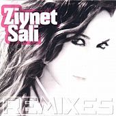 Thumbnail for the Ziynet Sali - Yanabiliriz (Burak Yeter Remix) link, provided by host site