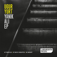 Thumbnail for the Ugur Yurt - Yanik Ali link, provided by host site