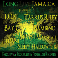 Thumbnail for the T.O.K - Yardie link, provided by host site