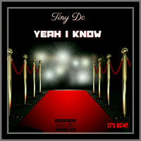 Thumbnail for the Tiny DC - Yeah I Know link, provided by host site