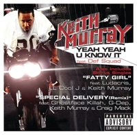 Thumbnail for the Keith Murray - Yeah Yeah U Know It link, provided by host site