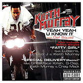 Thumbnail for the Keith Murray - Yeah Yeah U Know It link, provided by host site