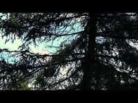 Thumbnail for the Foreign Fields - Year In Review 1 (Summer Tour with Counting Crows) link, provided by host site