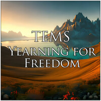 Thumbnail for the Tems - Yearning for Freedom (Euphoric Mix) link, provided by host site