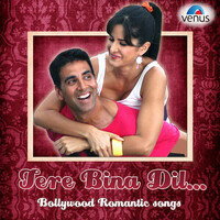 Thumbnail for the Udit Narayan - Yeh Chehra (From "Chaahat Ek Nasha ") link, provided by host site
