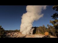 Thumbnail for the CBS Sunday Morning - Nature: Yellowstone National Park link, provided by host site