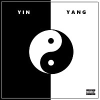 Thumbnail for the E - Yin Yang link, provided by host site
