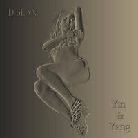 Thumbnail for the DSean - Yin & Yang link, provided by host site