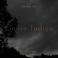 Image of Yiruma linking to their artist page due to link from them being at the top of the main table on this page