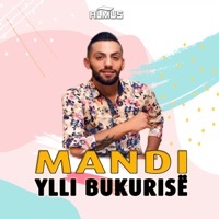 Thumbnail for the M-AND-I - Ylli Bukurise link, provided by host site