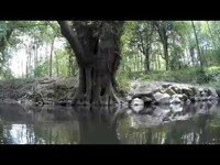 Thumbnail for the The Joy Formidable - Yn Rhydiau'r Afon link, provided by host site