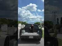 Thumbnail for the Snow Tha Product - yo chillin on my way to Zacatecas link, provided by host site