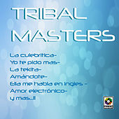 Thumbnail for the Ldc - Yo Te Pido Mas link, provided by host site