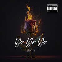 Thumbnail for the Wanted - Yo Yo Yo link, provided by host site