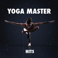 Thumbnail for the Soothing Music for Sleep Academy - Yoga Master Hits link, provided by host site