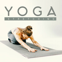 Thumbnail for the Yoga Tribe - Yoga Stretching – 15 Tracks Perfect for Your Daily Dose of Exercise link, provided by host site