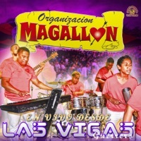 Thumbnail for the Organizacion Magallon - Yolanda [En Vivo] link, provided by host site