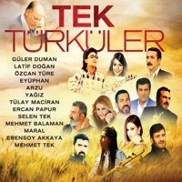 Thumbnail for the Maral - Yolcu link, provided by host site