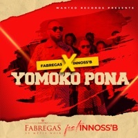 Thumbnail for the Fabregas Le Metis Noir - Yomoko Pona link, provided by host site