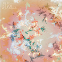 Image of Bibio linking to their artist page due to link from them being at the top of the main table on this page