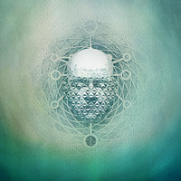 Thumbnail for the 22 - You Are Creating: Limb1 link, provided by host site