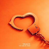 Thumbnail for the DJ Snake - You Are My High link, provided by host site
